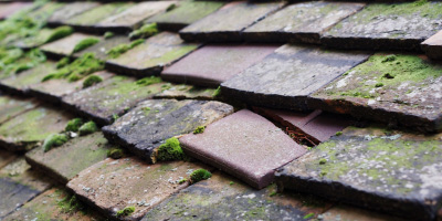 Tenbury Wells roof repair costs